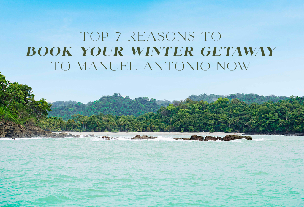 Top 7 Reasons to Book Your Winter Getaway to Manuel Antonio Now